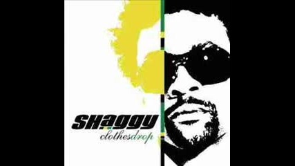 Shaggy - Cant Fight This Feeling (2009)