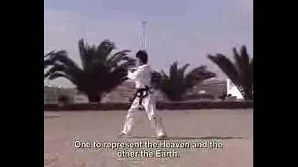 Taekwondo Itf Chon Ji
