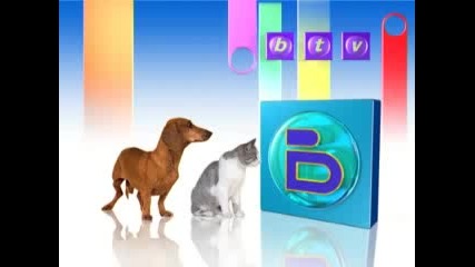 Btv Reklama