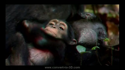 шимпанзе-официален 3d трейлар (2011)