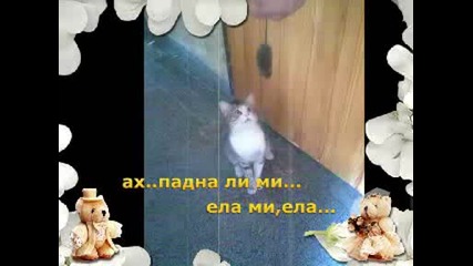 Моята зоологическа градина
