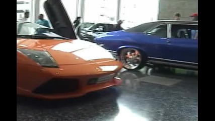 Import Evolution 2009 