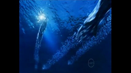 H2o Just Add Water 1 - ви сезон Intro