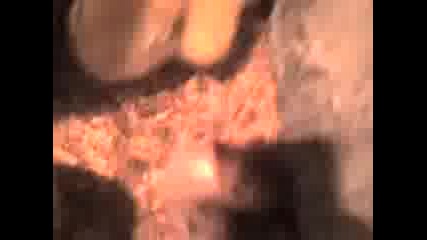 Piletata