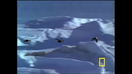 Welcome to the Arctic Ocean 