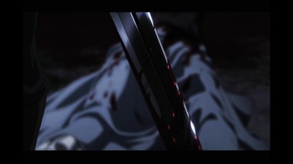 Never Too Late Amv ♫ - Akame Ga Kill