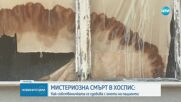Мистериозна измама в хоспис: Как собственичка присвоява имоти на починали пациенти