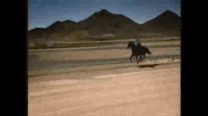 Mustang Vs Horse