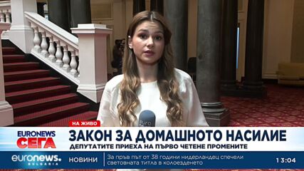 Поне 60 дни отношения: Депутатите добавиха „интимна връзка“ в Закона за домашното насилие