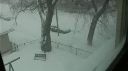 Зимното Време през 2010 