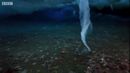 Леден вихър в океана - първото заснемане на феномена!