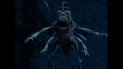 Bugs life 