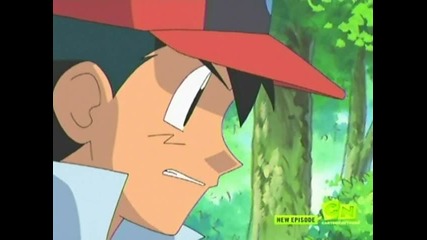 Pokemon Diamond and Pearl Battle Dimension - Chim-charred!