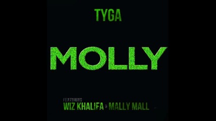 *2013* Tyga ft. Wiz Khalifa & Mally Mall - Molly