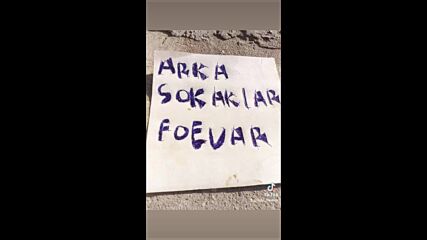 Vid_33630108_163325_439.mp4