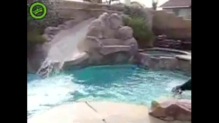 Doberman Loves His Waterslide 