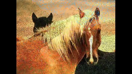 Natasha Bedingfield - Wild Horses