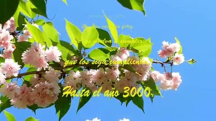Andre Rieu - Lara's Theme