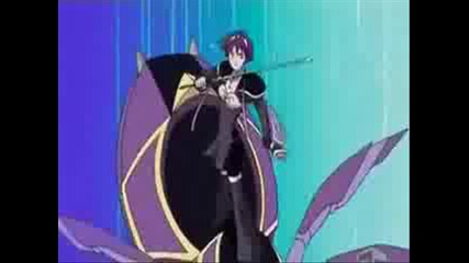 spider riders 