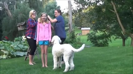 Als Ice Bucket Challenge! _ Katherine Schroeder