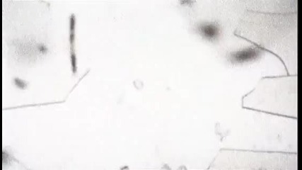Underworld - Push Upstairs ( Everything, Everything )