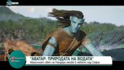 Магичният свят на "Аватар" оживя с дронове в небето над София