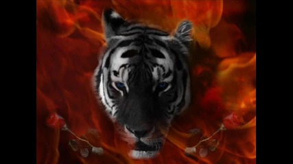 Greatest Trance Hits - Eye Of The Tiger