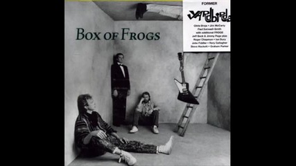 Box Of Frogs - Love Inside You 