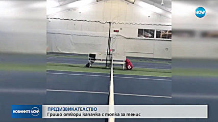 Гришо отвори капачка с топка за тенис