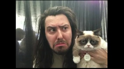 „Намръщената котка” превзе и телевизията