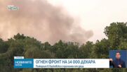 Пожарът в Хасковско вече е локализиран