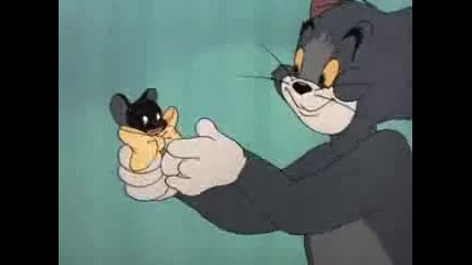 Tom and Jerry - Casanova Cat Tom скъсва Jerry от ебавки Jerry скъсва Tom Tom and Jerry