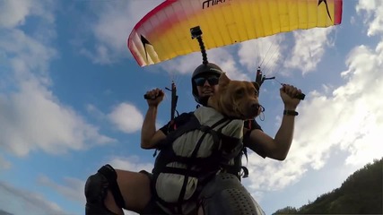 Куче и стопанинът му - скок с парашут