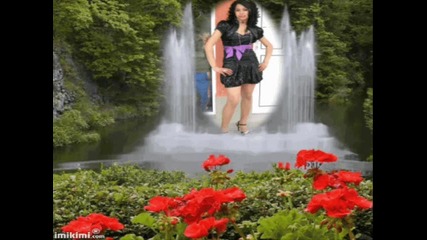 , *,  ~,  *,  ~,  *,  Prences,  *,  ~,  *,  ~,  *,