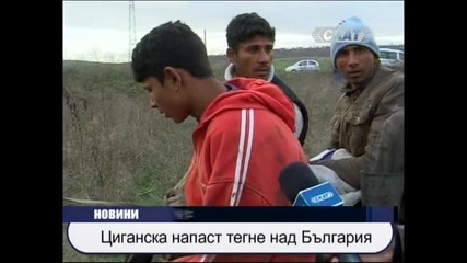 Циганска напаст тегне над България