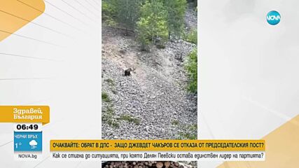 Мече се разходи край родопско село