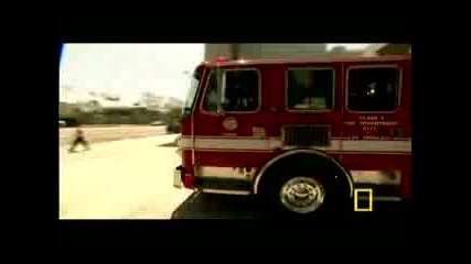 Dog Whisperer A Firehouse Mascot