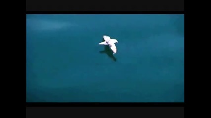Wonderful Chill Out music #002
