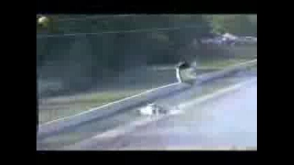 Car Flys