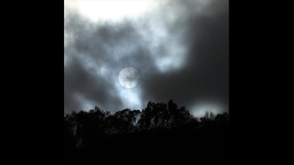 Velvett Fogg - Once Among the Trees