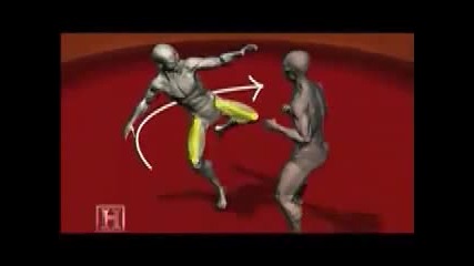 learn to fight in 5 min