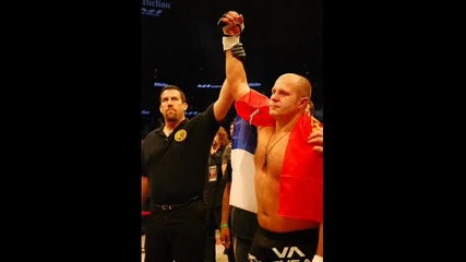 Fedor vs Arlovski - A Closer Look 