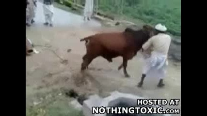 Не ме пипай