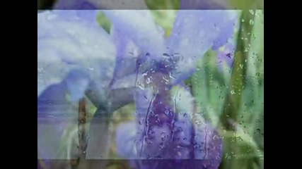 Kenny G - In the Rain 