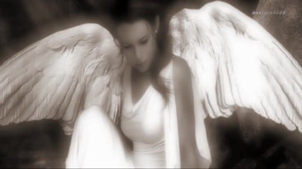 Amederia - Lovely Angel