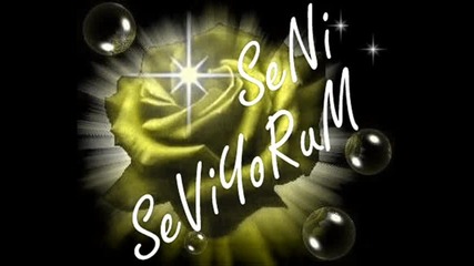 Seni Seviuorum