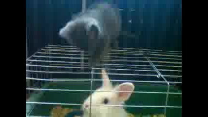 Мариано напада!!!