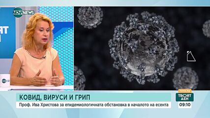 Проф. Ива Христова: Варицелата и скарлатината са доминиращи при децата това лято