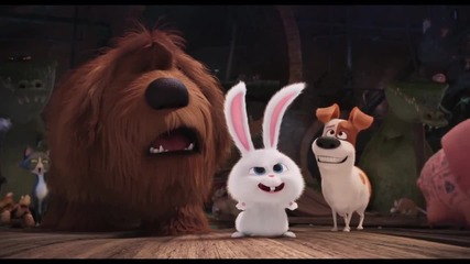 The Secret Life of Pets *2016* Trailer