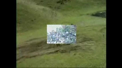 travis pastrana - freestyle